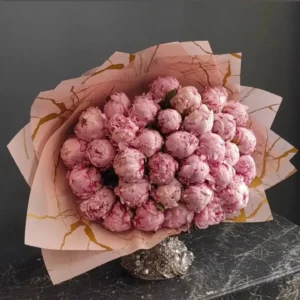 Pembe Şakayık