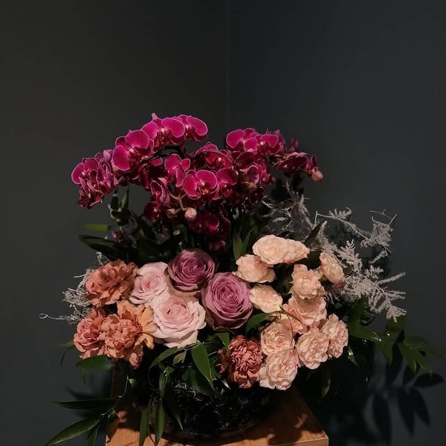 Midi Orchid