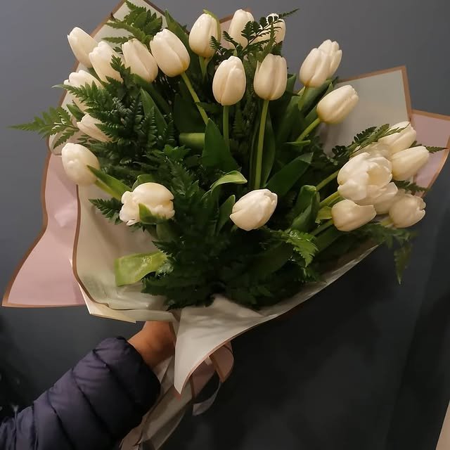 White Tulip