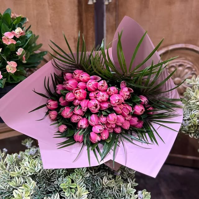 Pink Tulip