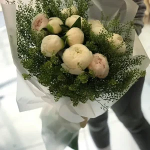 SnapInsta.to_566725010_17913981387213550_678971433002086847_n_640.jpg