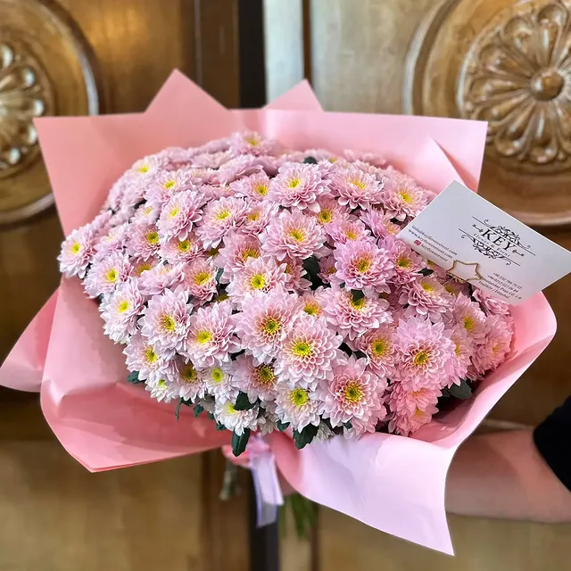 Pink Chrysantemum