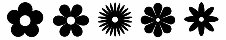 Guarantee & safe checkout